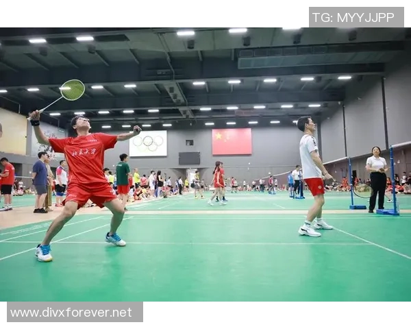 北京羽毛球队的战术掌控与失误分析:从比赛看球队发展潜力与挑战 北京羽毛球队的战术掌控与失误分析:从比赛看球队发展潜力与挑战