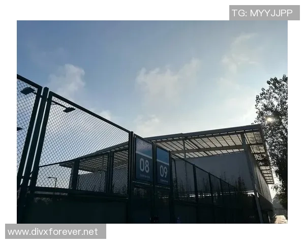 成都网球队配合变革引发热议提升竞技水平与团队协作新思路 成都网球队配合变革引发热议提升竞技水平与团队协作新思路