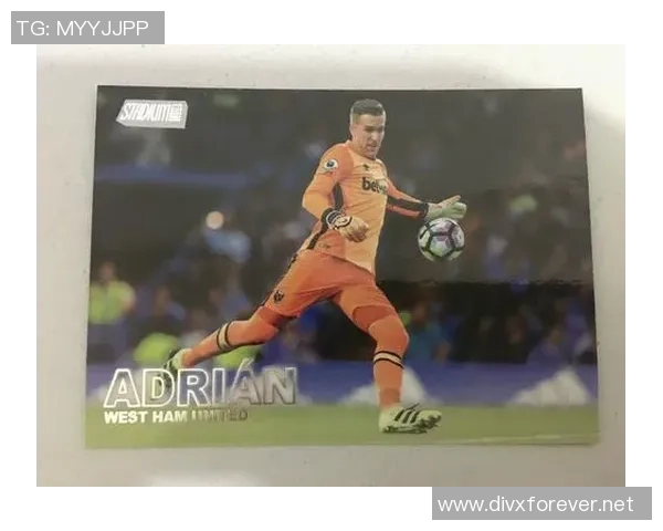 早期各国足球明星排名及其对足球发展的影响分析