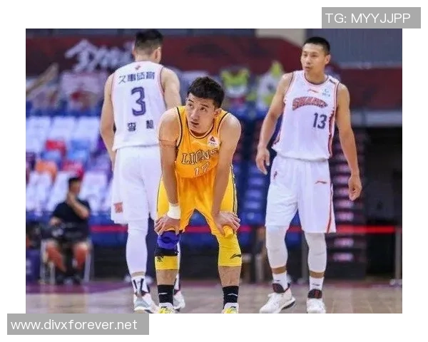 杭州排球队在全国锦标赛积分榜上以50分稳居第一名展现强劲实力