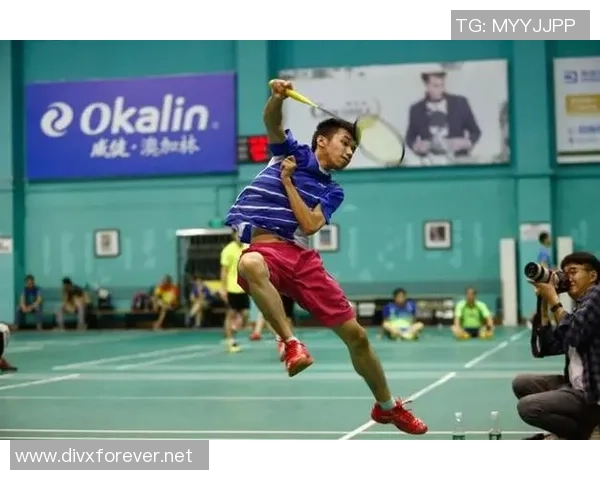 杭州羽毛球队战术表现深度数据分析与策略优化研究 杭州羽毛球队战术表现深度数据分析与策略优化研究