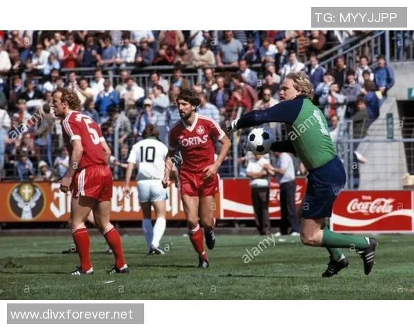 武汉篮球队在欧锦赛中的心理素质分析与表现评估