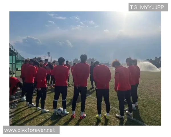 赛后分析：上海足球队与成都足球队的战术配合与表现评估