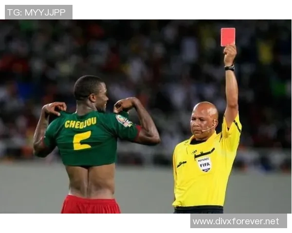 足球明星如巴哥般闪耀绿茵场的传奇与魅力解析 足球明星如巴哥般闪耀绿茵场的传奇与魅力解析