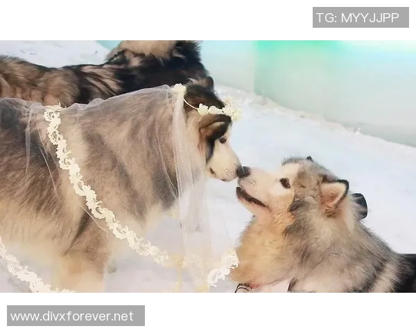 足球明星甜蜜互动花式秀恩爱引发粉丝热议与羡慕