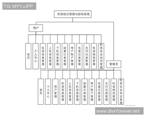 独家分析：上海篮球队的团队协作对比
