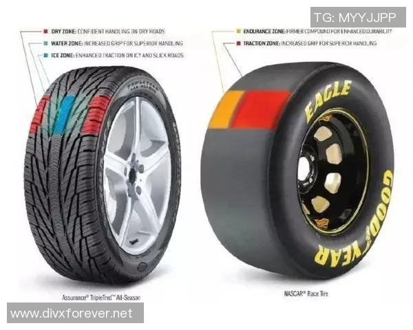 Major赛积分榜：LNG以91分领跑