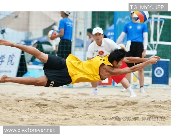 排球热议：广州排球队的耐力争议