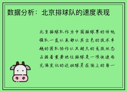 数据分析：北京排球队的速度表现