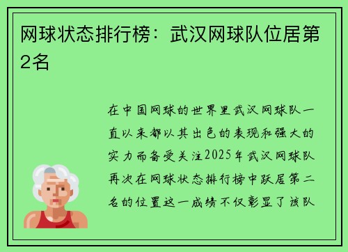 网球状态排行榜：武汉网球队位居第2名