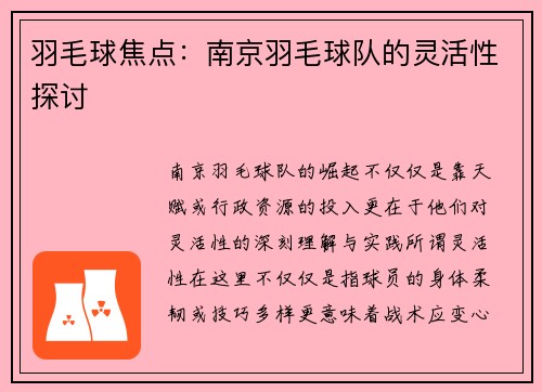 羽毛球焦点：南京羽毛球队的灵活性探讨