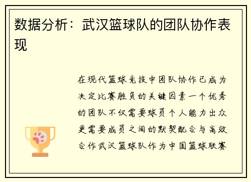 数据分析：武汉篮球队的团队协作表现